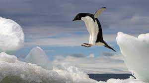 Polar Plunge 2026 – Saturday February 14, 2026