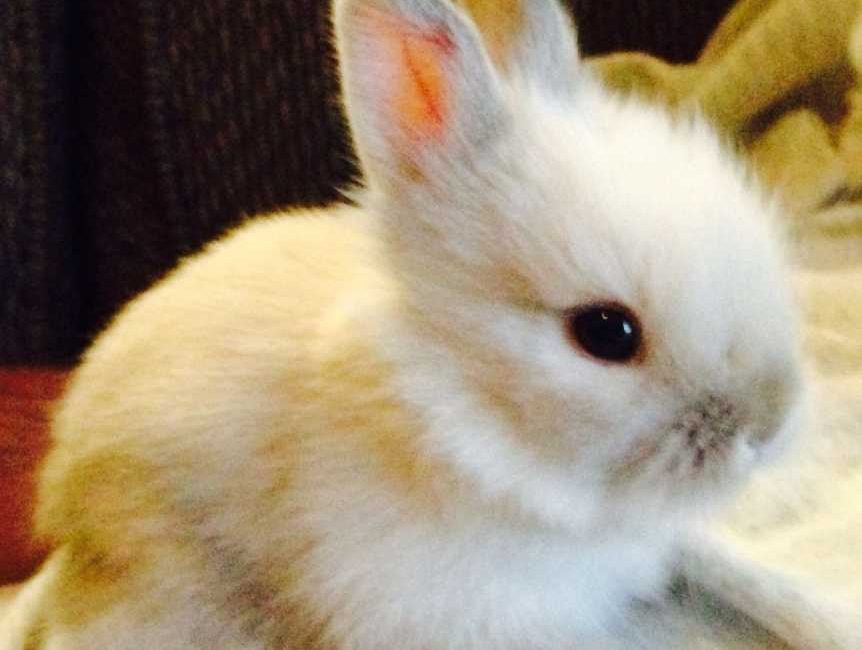 Joyce Family Welcomes New Baby Girl Joyce Family Welcomes New Baby Girl